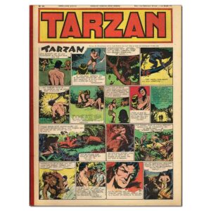 Tarzan – Bundeling 1